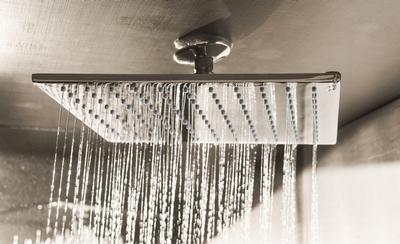 Shower Head 3.jpg